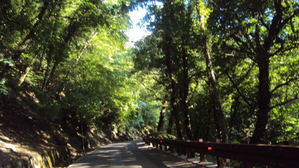 Locanda Dei Baroni - Antica Dimora Camaldoli Ngoại thất bức ảnh